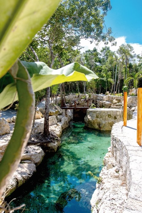 Cenotes Casa Tortuga